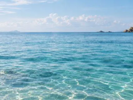 Ocean Therapy