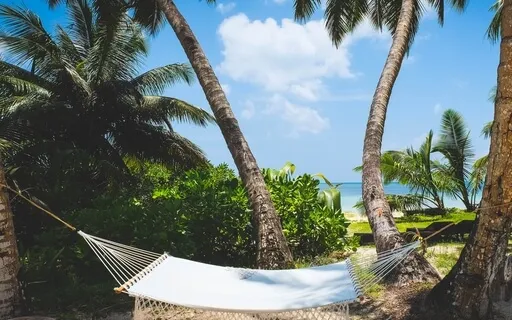 Ocean Visualization Meditation 