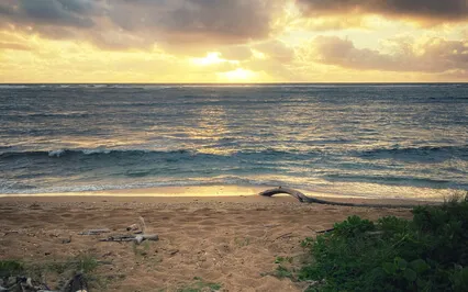 Ocean Visualization With Native Flute 8.88Hz Alpha Brainwaves