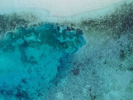 Ocean Waves | 90 Minutes Sounds Of The Sea