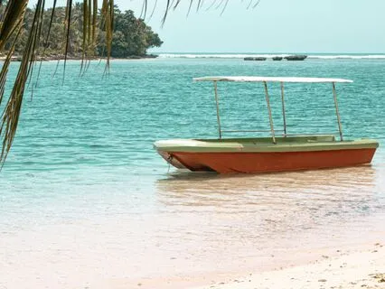 Ocean Waves And Beautiful Music