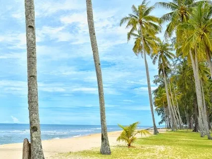 Ocean Waves & Piano -Stress relief-Walking-Introspection