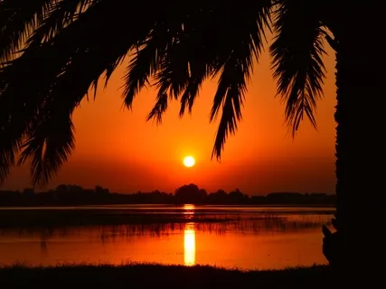 Ocean Waves & Sunset Visualisation For Sleep