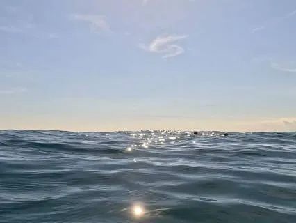 Deep Calming Ocean Waves Healing Nature Sounds