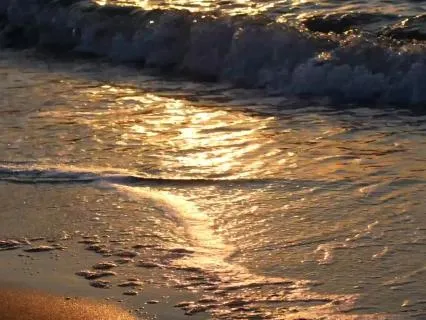 Soothing Ocean Ambience For Overthinking & Stress Relief