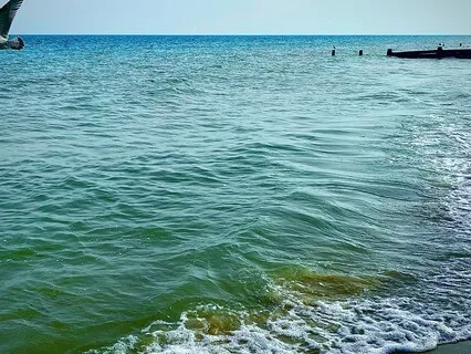 Ocean Waves: Relax Sleep & Restore, Breath-Work friendly