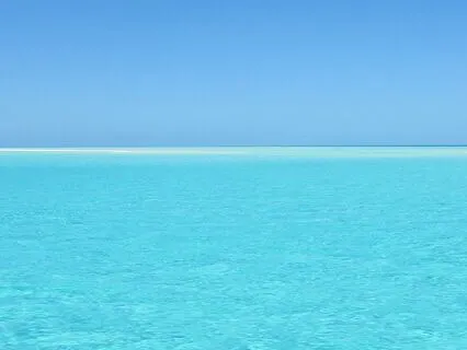 Ocean Waves & Seabirds Nature Sounds For Relaxation