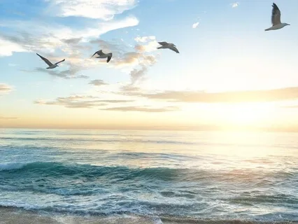 Ocean Waves Singing Bowls & Wind Chimes For Deep Relaxation