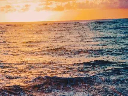 Ocean Waves White Noise For Deep Sleep (11 Hours)