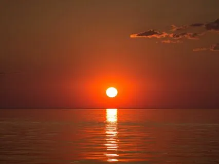 Oceanic Mind-Body Connection