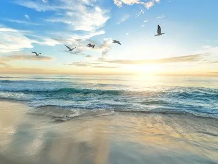 All Night Oceanside Sleep Support | 10 Hours