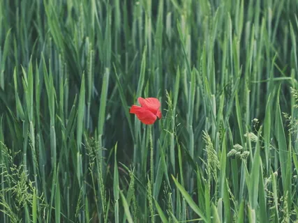 Очищение Корневой Чакры и Трансформация Стресса