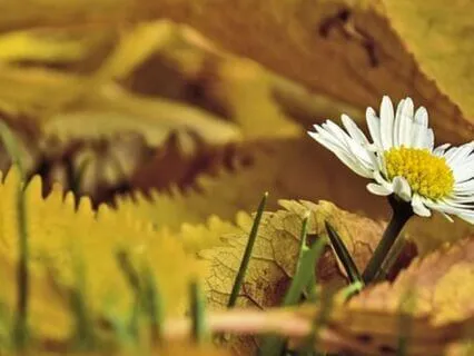 October Ascension Forecast : Empowerment Within & Without