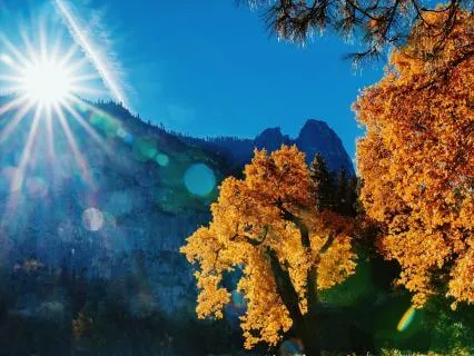 October Energy Update - Root, Restore, Reveal, Rebirth