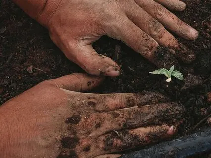 October New Moon  ~ Planting Seeds Of Intention