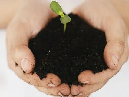 October New Moon ~ Planting & Trusting New Intentions