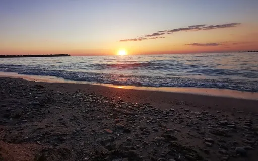 Ode To The Vagus Nerve