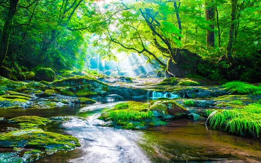 Ode To Your Ego Meditation & Affirmations