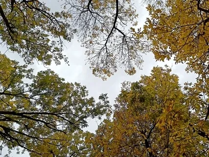 Offer Your Attachments To The Universe