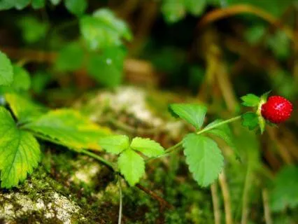 Offering Kindness For Others