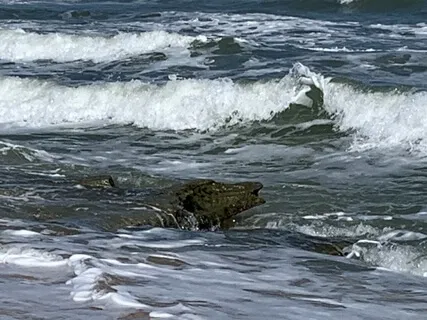 Offering Lovingkindness To Difficult People