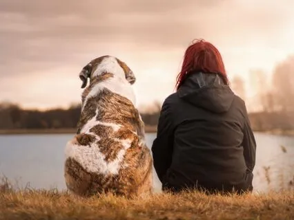 Offering The Gift Of Reiki To Your Animal Companions