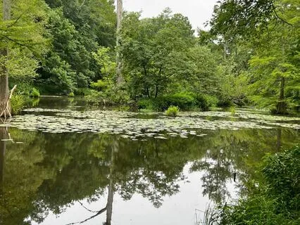 Offering Vs Agreeing