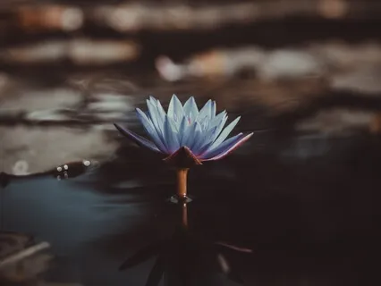 Offering Yourself Freedom