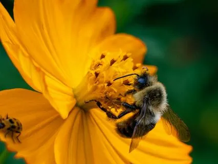 Oh – When Words Fail, Let Your Soul Sing