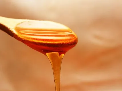 Ojas Building Meditation For Immunity, Vigor, And Ease