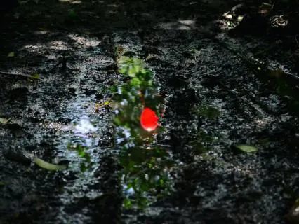 Ojo Ibukun - Rain Of Blessing