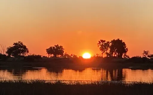 Okavango Delta Night