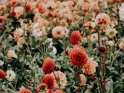 Okay As You Are: Morning Meditation For Acceptance