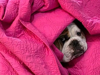 Okay, Brain. We're Getting Up: A Fun ADHD Morning Wake-Up