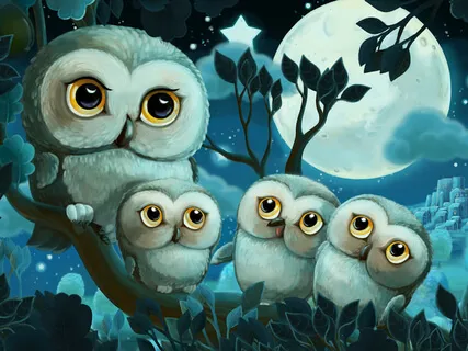 Ollie & Olivia Owl Sleep Meditation Story