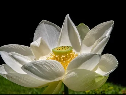 Om Ah Hung - A Sound Meditation