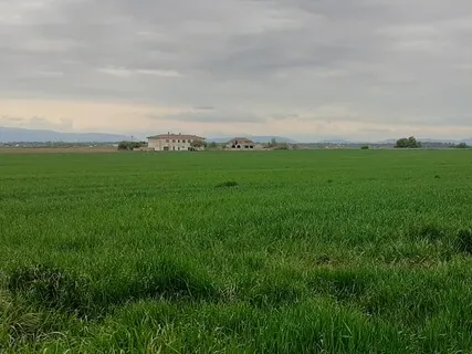 Om Chanting Meditation