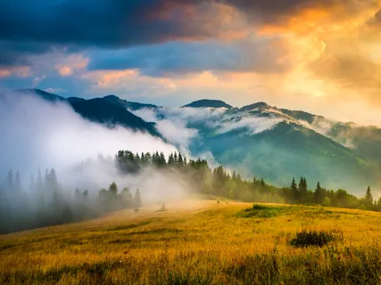 Om Ganesha Om Ganapati Om