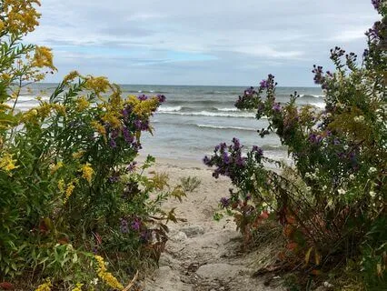 Om Mantra - Sacred | 432 Hz Binaural