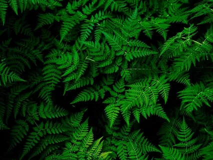 Om Mantra To Sleep Well