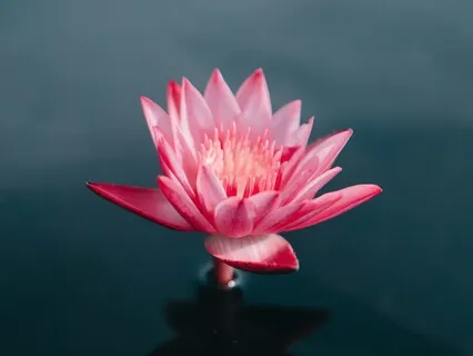 Om Namah Shivaya (By Radha)