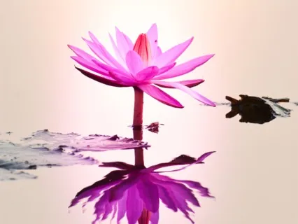 Om Namah Shivaya - (Handpan/Vocals)