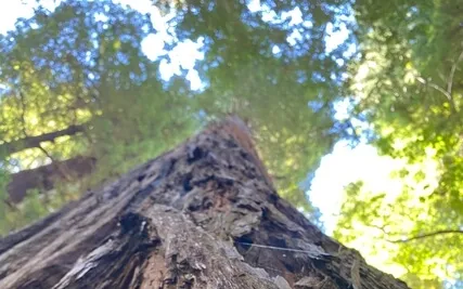 OM NAMO extended version