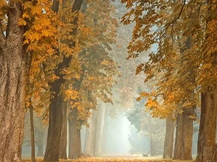 Om Purnamadah - We Are Complete