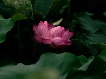 Om Shanti Mantra Meditation: Chant For Peace During Fearful & Uncertain Times