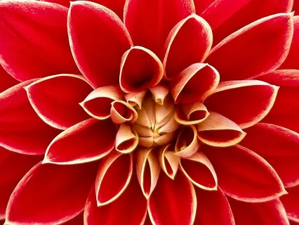 Om Shanti Mantra - Prayer For Peace (Featuring Octavia Nasr)