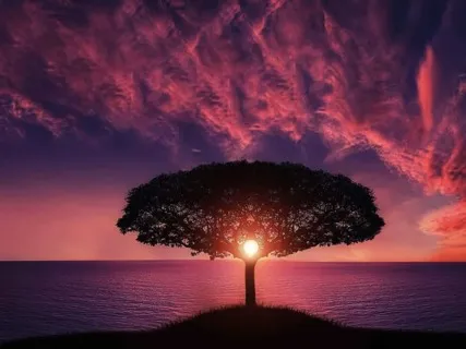 Om Shanti Om:Chant For Peace 