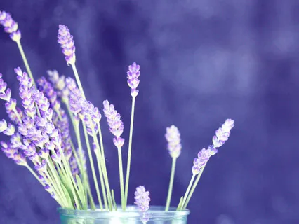 OM / AUM Chanting 8-Minute Meditation - Beginner Friendly