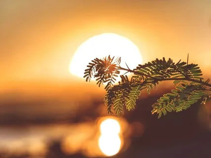 Omkara & Gotama – Hallelujah