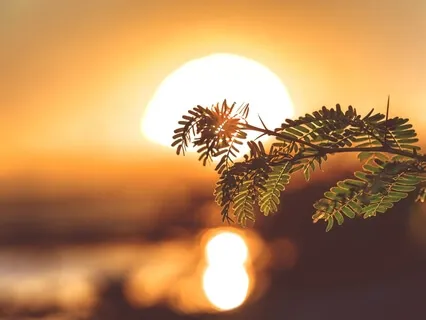 Omkara & Gotama – O Heart of Hearts